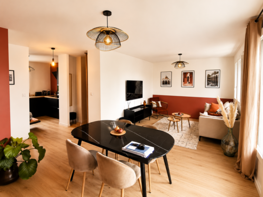 renovation appartement ecully 2
